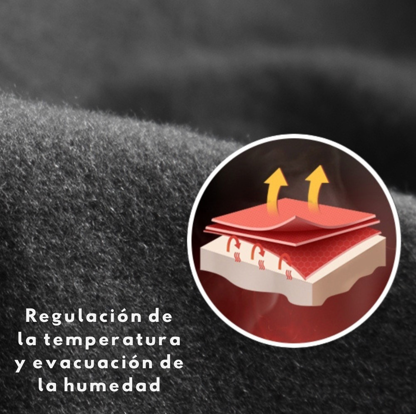 Conjunto de ropa interior térmica